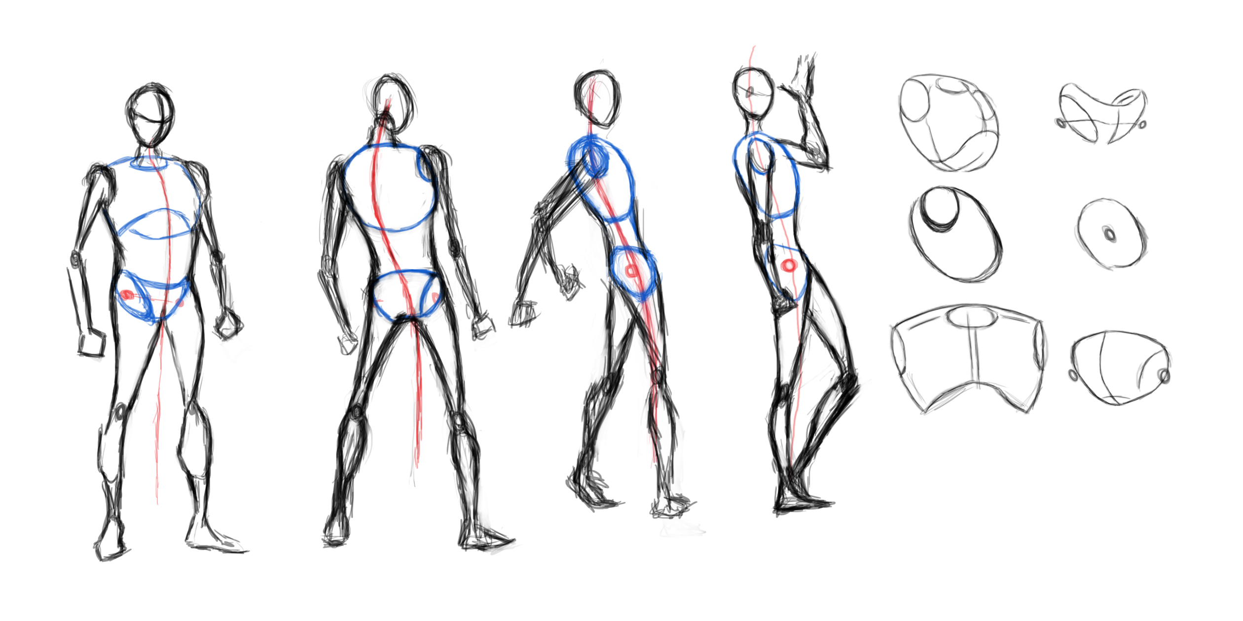 Basic Male Forms by TheSadaan on DeviantArt