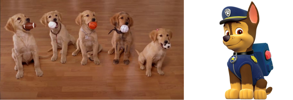 paw patrol air pup buddies