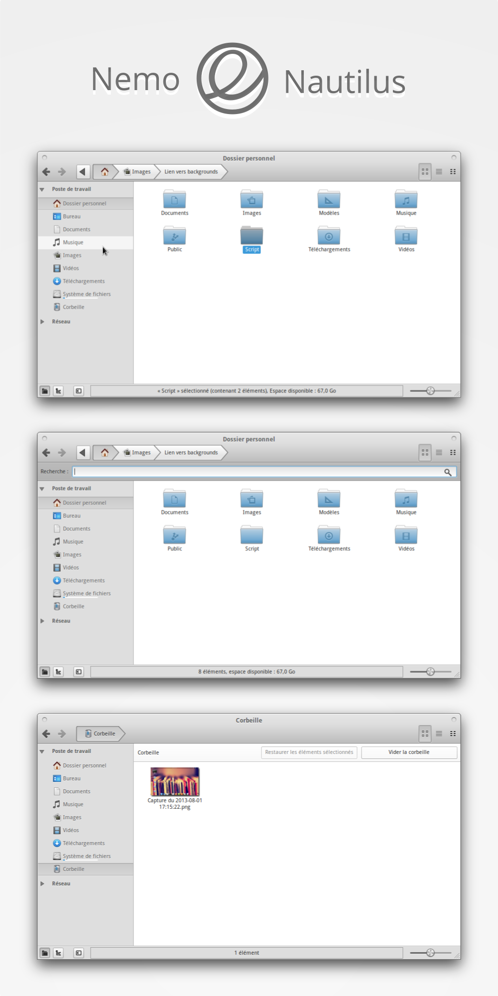 elementary OS Luna with Nemo/Nautilus File manager