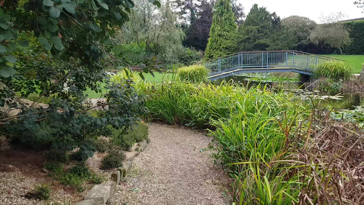 I See You Felix I See You Human Cat Vid By Catonablade On Deviantart