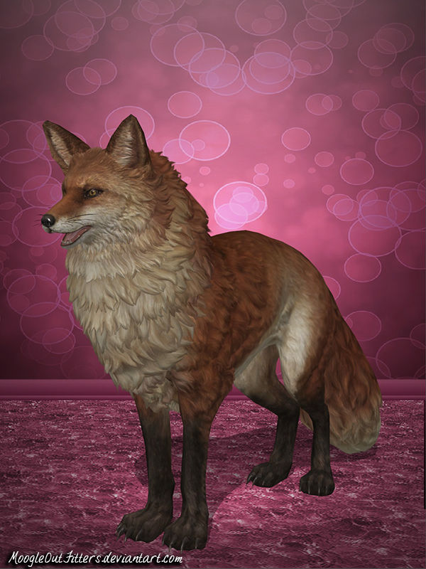 Bless Online Fox By Moogleoutfitters by ExtraActively on DeviantArt