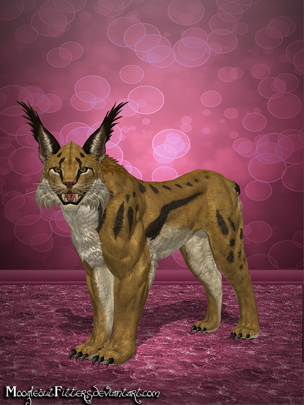 Bless Online Lynx By Moogleoutfitters by ExtraActively on DeviantArt