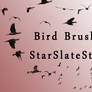 Bird Brushes