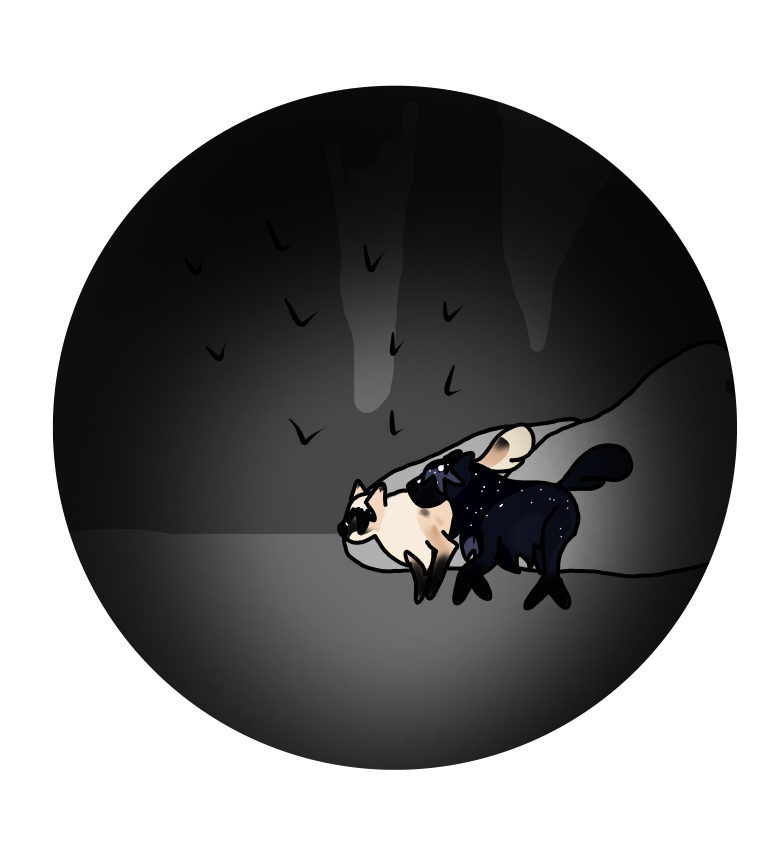 Caving Day 4 by MommaFern on DeviantArt