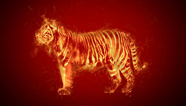 Flaming Tiger - Project5