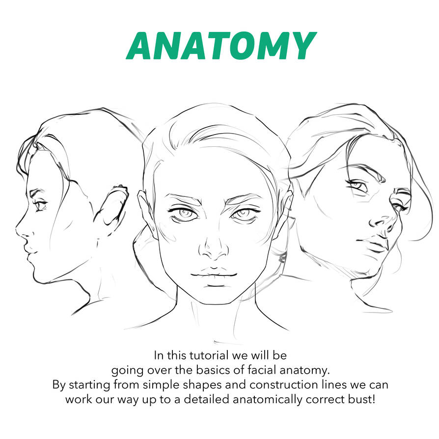 Face Construction Tutorial by Rashedjrs