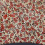 Floral Fabric