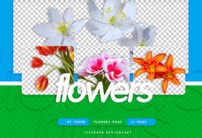 .flowers pngs #27