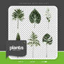 .plants png #58