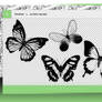 .butterfly brushes #70
