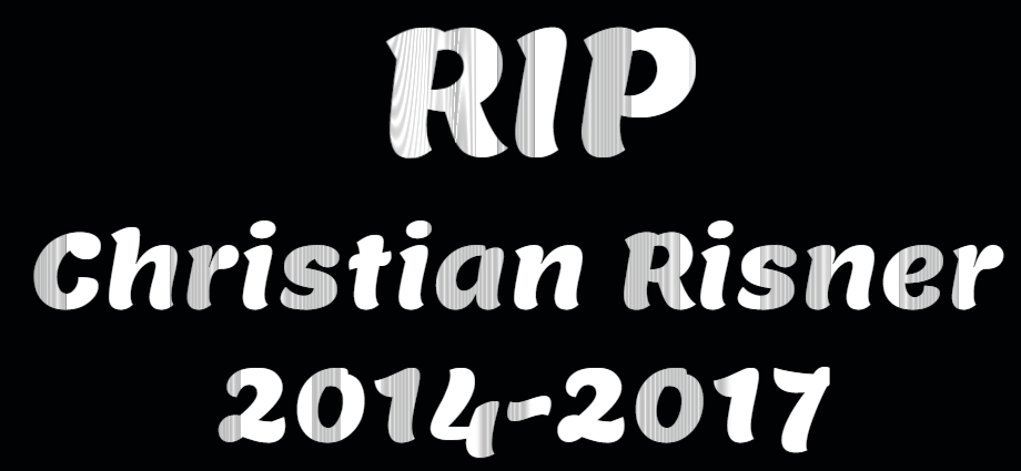 RIP Christian Riser 2014-2017 by EarWaxKid on DeviantArt