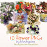 Flower PNGs: 8