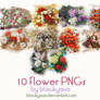 Flower PNGs: 9
