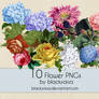 Flower PNGs: 10