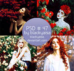 PSD Coloring: 47