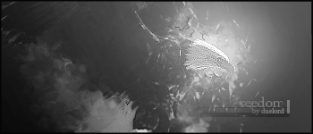 free sig psd eagle of freedom by duelord-stock on DeviantArt