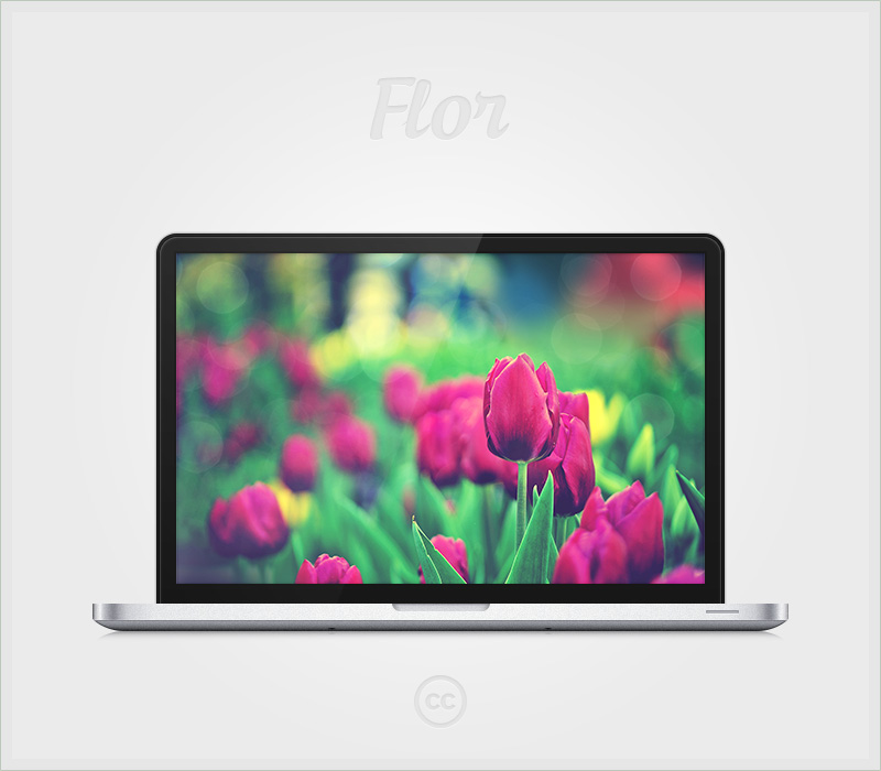 Flor by givesnofuck
