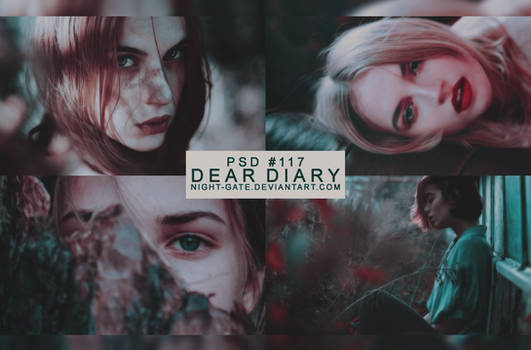 PSD #117 | Dear Diary by night-gate