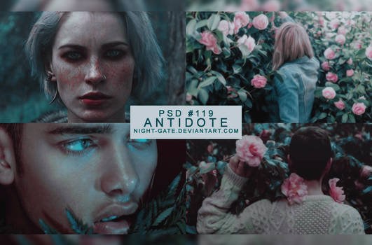 PSD #119 | Antidote by night-gate