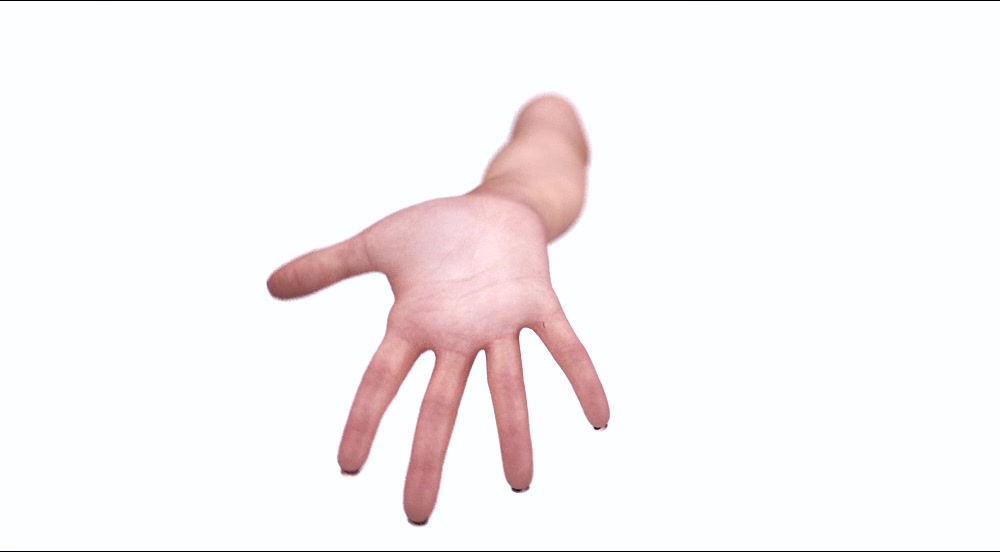 hand rig (animation)