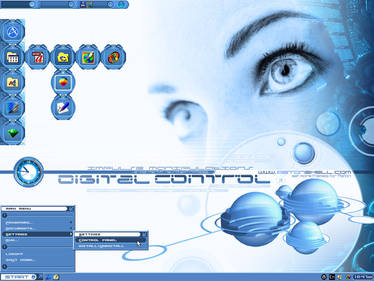 Digital Control