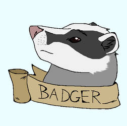Proud to be a Badger