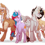 Meet My Pony Family