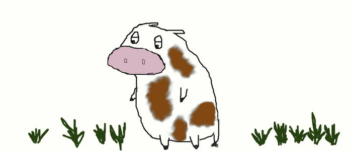 Cow