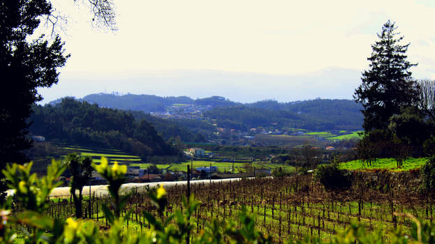 Quinta Da Costa view