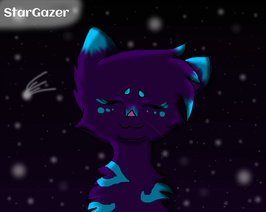 StarGazer Requested by Kayla by YatoAndYukine4Life on DeviantArt