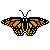 Monarch Butterfly Icon by Starrtoon
