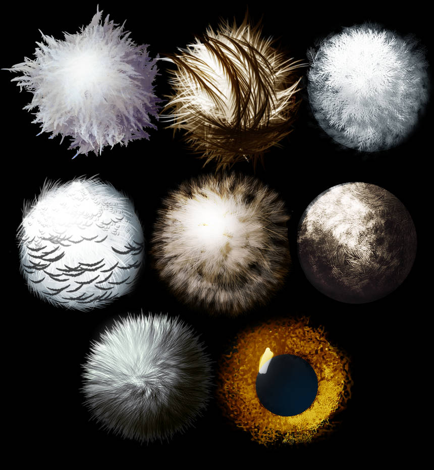 Owl Feather Texture Brushes For Photoshop By Earldense On Deviantart