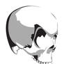 Vampire Skull Vector Resource