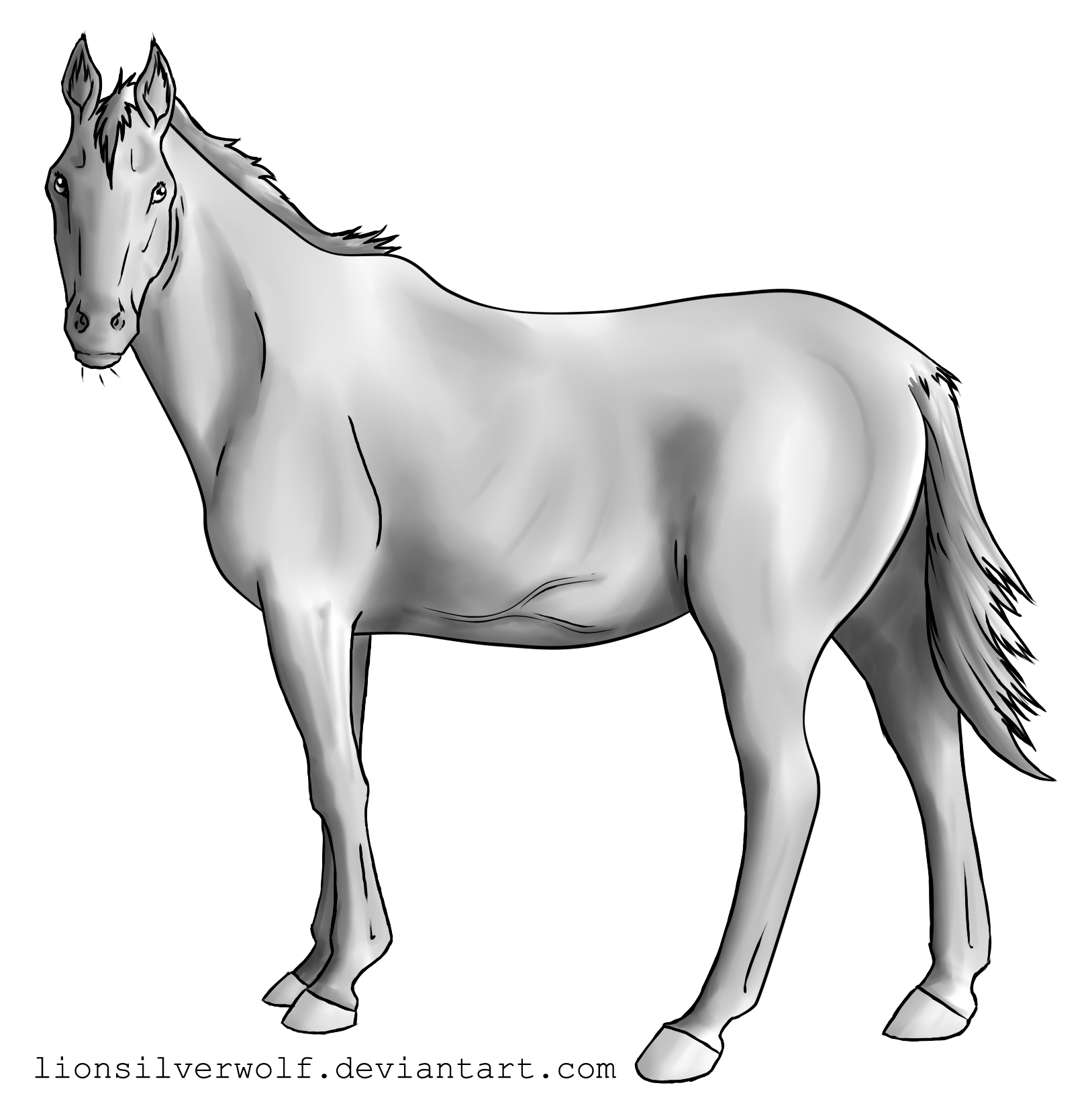 Greyscale Horse Lines