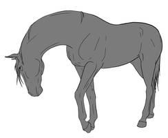 10pt Horse Lineart - Show Off