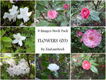 Flowers Pack 03 by XiuLanStock