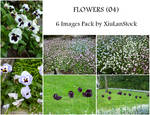 Flowers Pack 04 by XiuLanStock