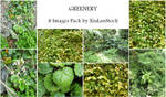 Greenery Stock Pack by XiuLanStock