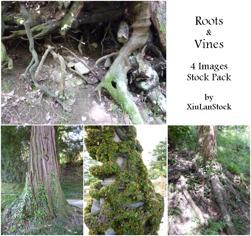 Roots and Vines Stock Pack