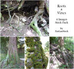 Roots and Vines Stock Pack by XiuLanStock