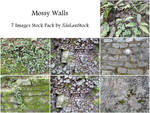 Mossy Walls Stock Pack by XiuLanStock