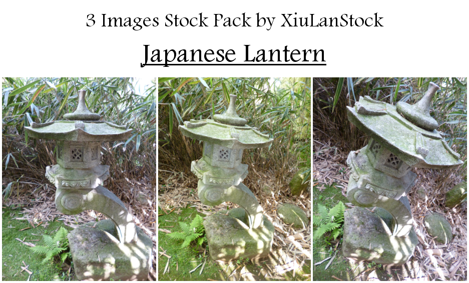 Japanese Lantern