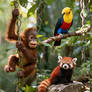 Animal landscapes video 241125 (2)