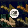 PSD15 - Seductive Green