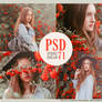 PSD 71 - Spring Dream