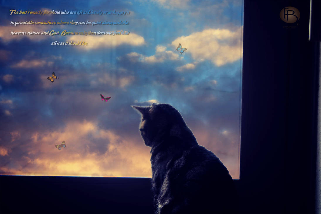 Tommie Looking Outside By Felicity1995 On Deviantart