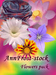 Flowers stock pack by AnnFrost-stock