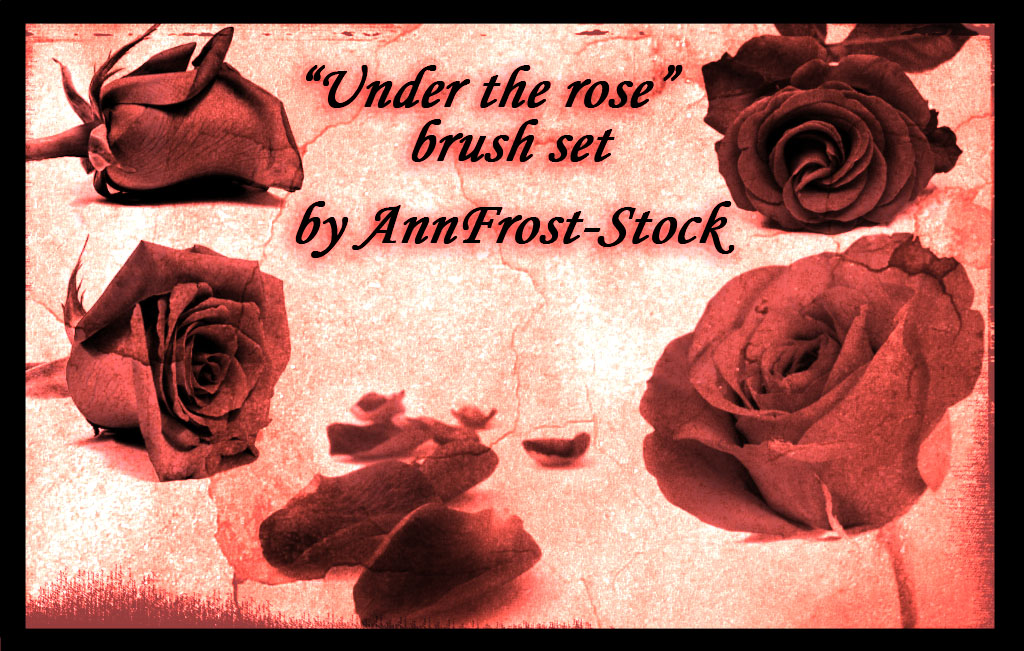Under the rose brush set