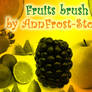 Fruits brush