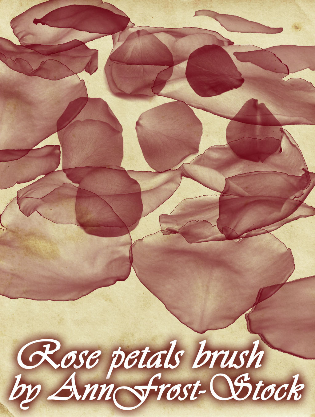 Rose petals brush